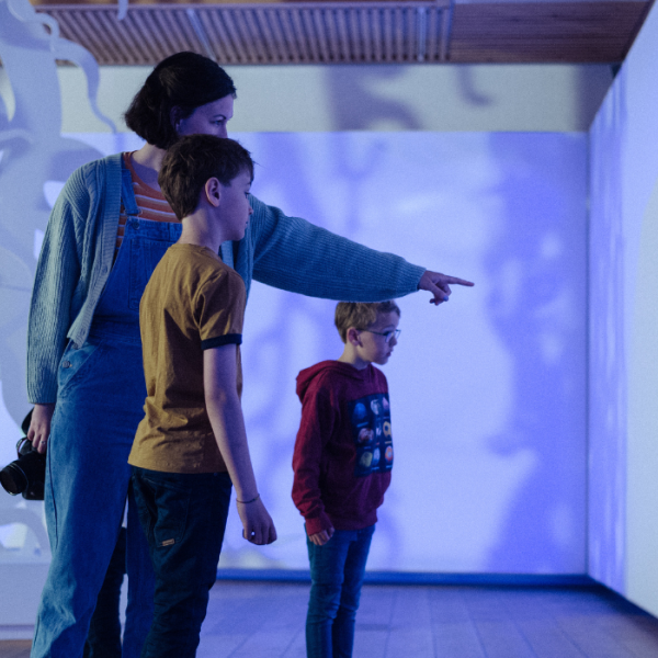 Ausstellung im Kongernes Jelling