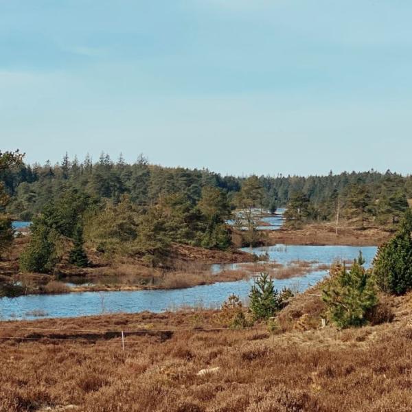 Die Siebenjährigen Seen in Frederikshåb Plantage an einem Frühlingstag