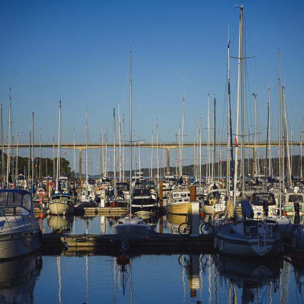 Der Yachthafen in Vejle am die Hafenfront von Vejle 