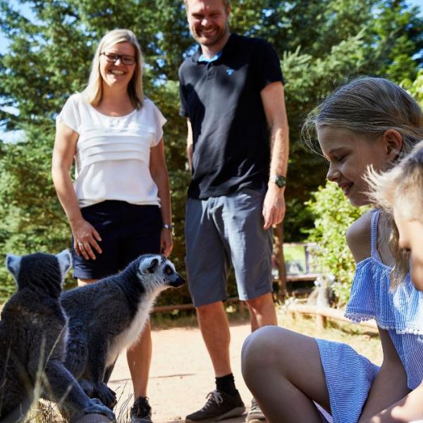 Familienausflug in den Givskud Zoo – ganz nah an die wilden Tiere