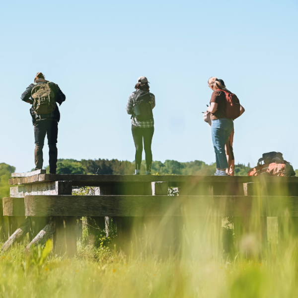 Gruppe von Wanderern auf Wandertour entlang des Hærvejen bei der Ravningbrücke bei Vejle