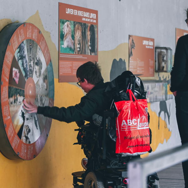 Junge auf Entdeckungstour durch die Ausstellung im GIVSKUD ZOO