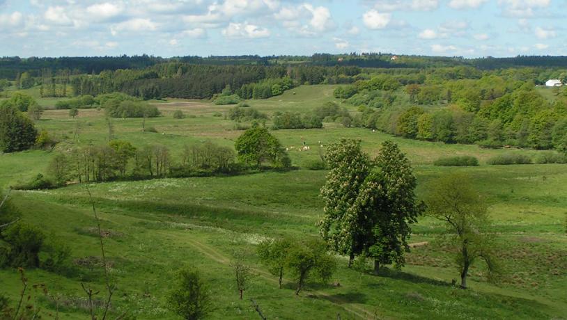 Die Aussicht von Runkenbjerg an einem Sommertag
