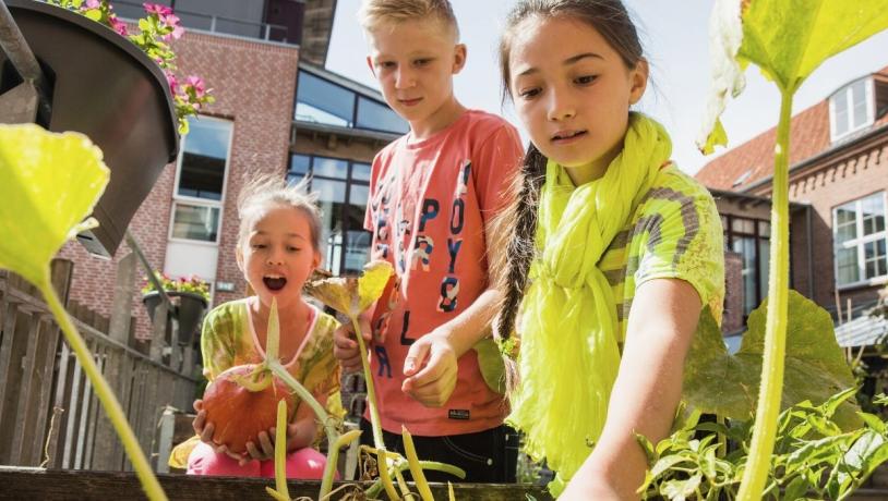 An einem Sommertag spielen Kinder im Økolariet in Vejle