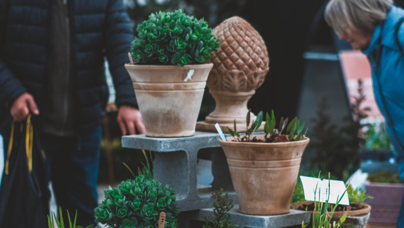 Blumen für den Frühlingsmarkt in Tinnetgaard
