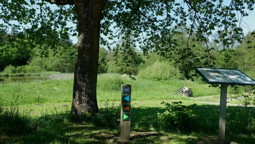 Mehrere Wanderrouten am Kærlighedstien in Børkop