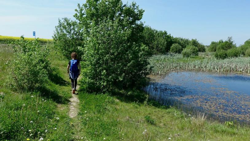 Person beim Wandern entlang des Grejsdalstien bei Jelling