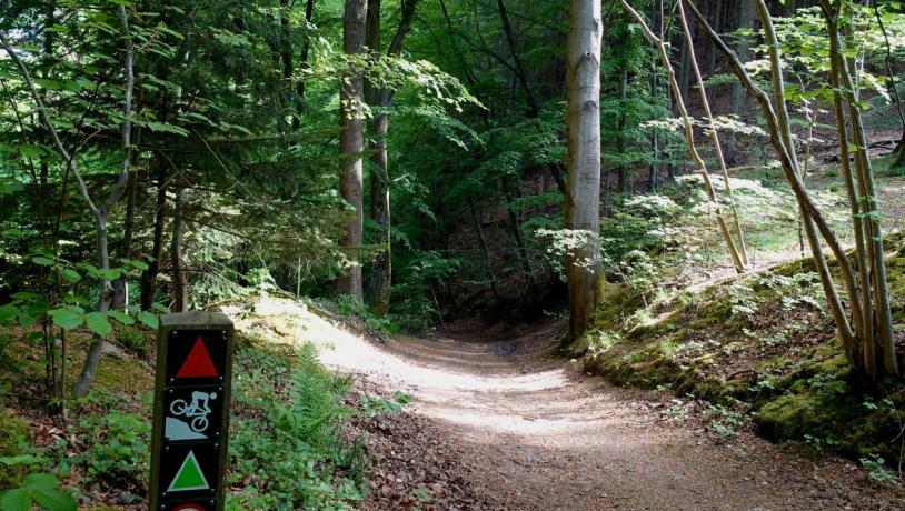 Auf einer Fahrt entlang des Grejsdalstien von Vejle nach Jelling