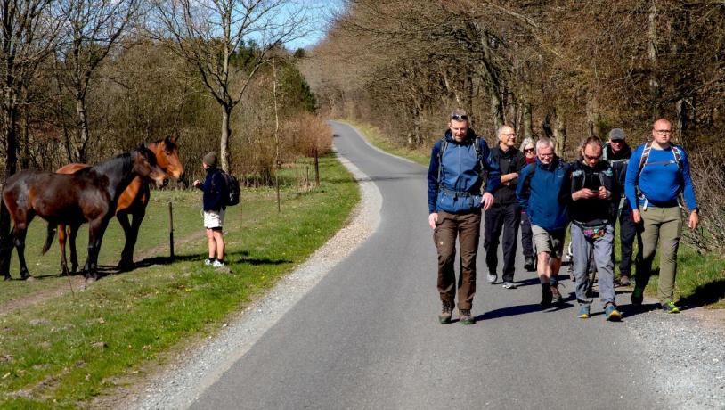 Eine Gruppe von Menschen geht entlang der Wanderroute Rans Togt