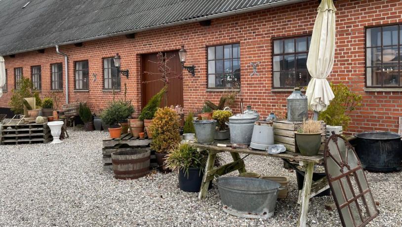 Gut Haughus Antiquitäten und Flohmarkt von außen gesehen