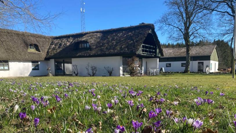 Museum Give set ude fra på en forårsdag med krokus i forgrunden