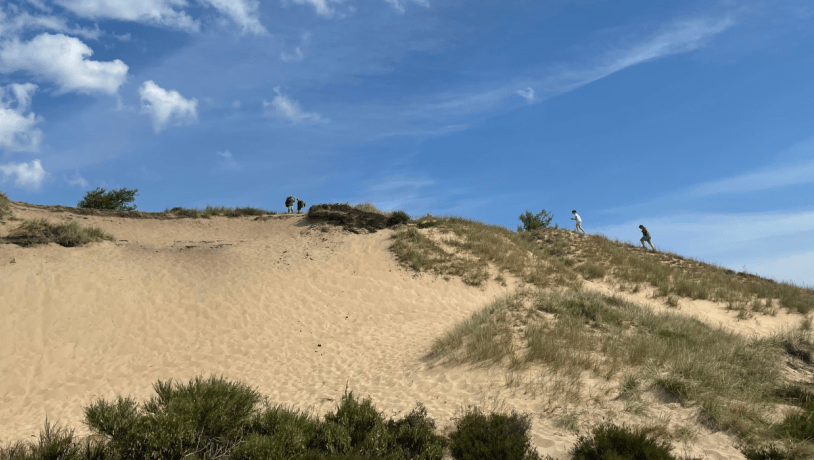 Menschen steigen den Stoltenbjerg bei der Randbøl Heide hinauf.