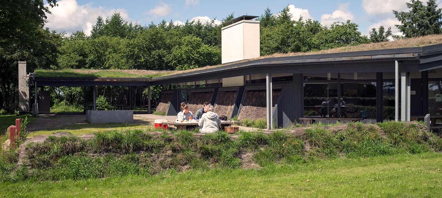 Picnic ved Kirstinelyst tæt på Randbøl Hede