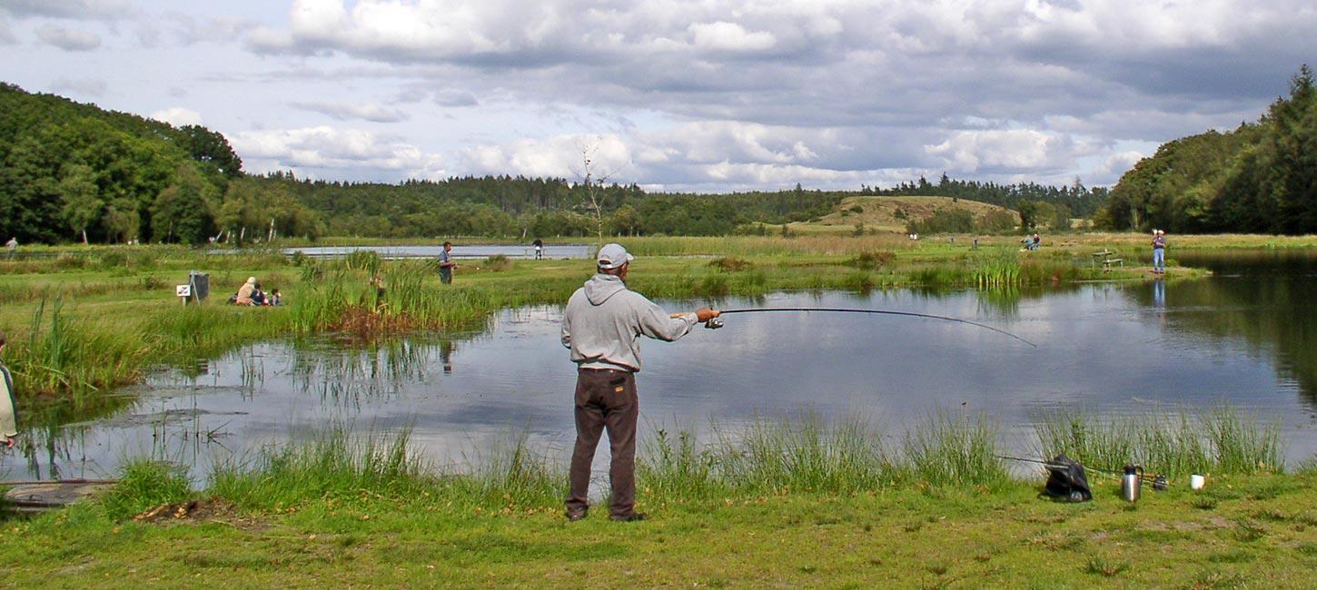 Ein Angler bei Vester Mølle Put & Take