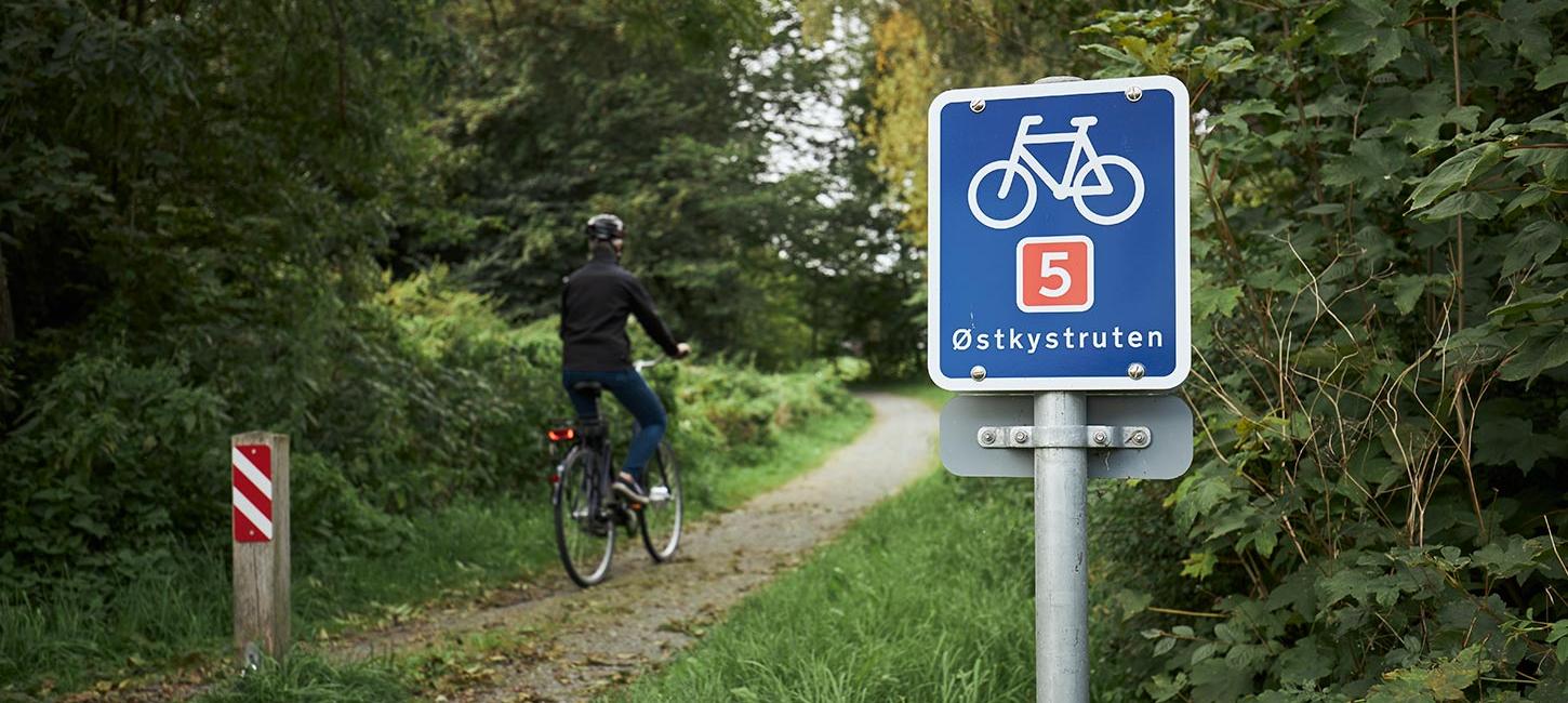 Person, die entlang der Ostküstenroute bei Børkop radelt