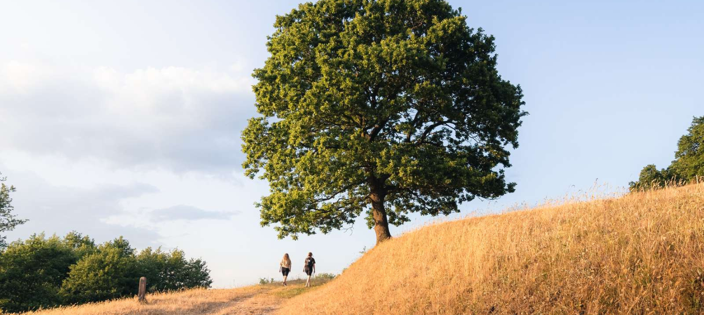 Zwei auf einer Wanderung in Runkenbjerg an einem Sommertag