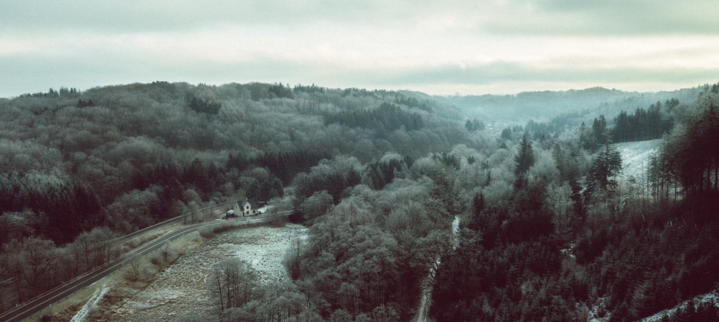 Drohnenbild von Grejsdalen, wo der Nebel über das Tal zieht