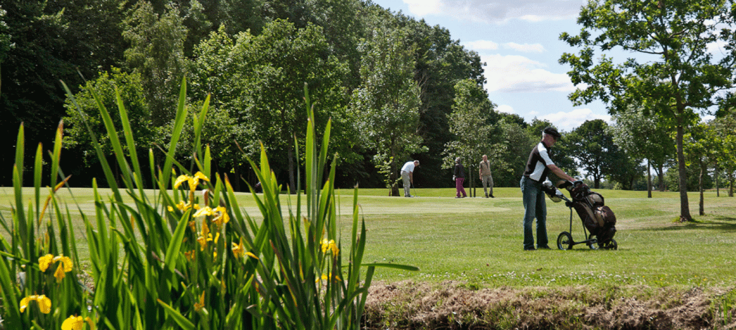Golf wird im Sommer im Golfclub Vejle gespielt