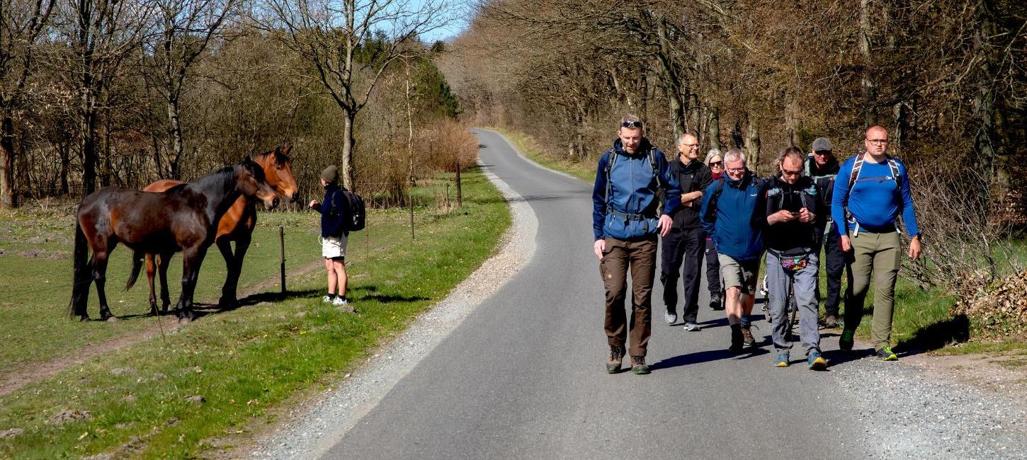 Eine Gruppe von Menschen geht entlang der Wanderroute Rans Togt