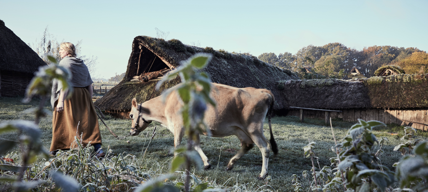 Frau mit Kuh bei Vingsted Jernalder