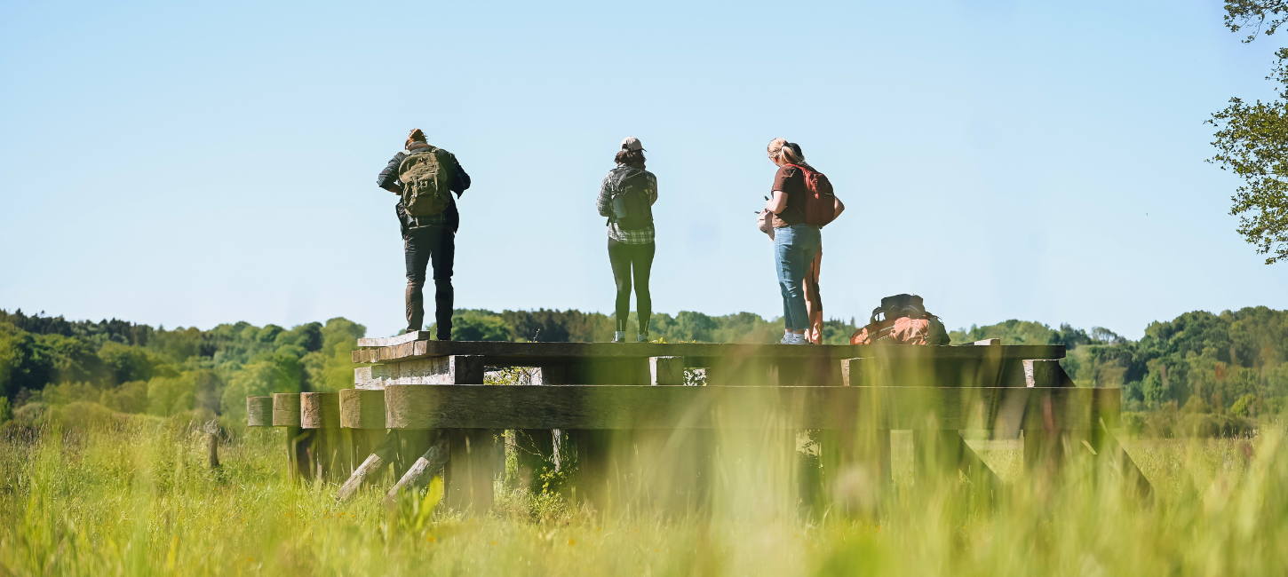 Gruppe von Wanderern auf Wandertour entlang des Hærvejen bei der Ravningbrücke bei Vejle