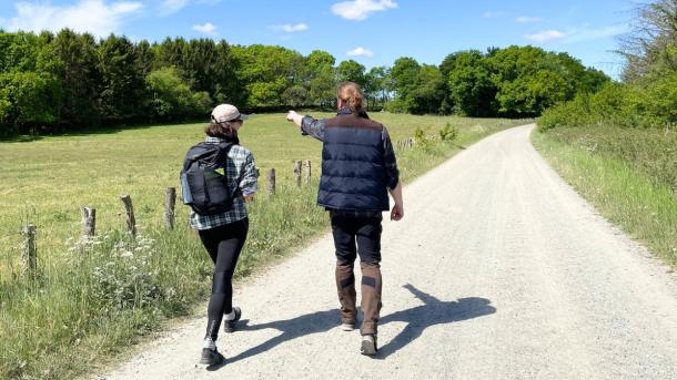 Zwei Menschen gehen im Sonnenschein auf dem Hærvejen spazieren