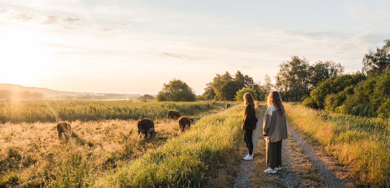 Mädchen machen einen Spaziergang im Vejle Ådal in der Nähe von Kühen