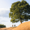 Zwei auf einer Wanderung in Runkenbjerg an einem Sommertag