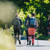 Fünf Wanderer auf Hærvejen an einem Sommertag
