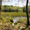 Natur an den Quellgebieten von Gudenå und Skjern Å
