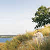 Frauen genießen die Aussicht über den Vejle Fjord am Hvidbjerg Strand