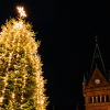 Lichter am Weihnachtsbaum auf dem Rådhusplatz in Vejle