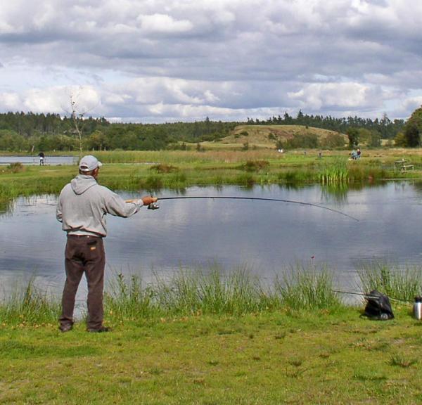 Ein Angler bei Vester Mølle Put & Take