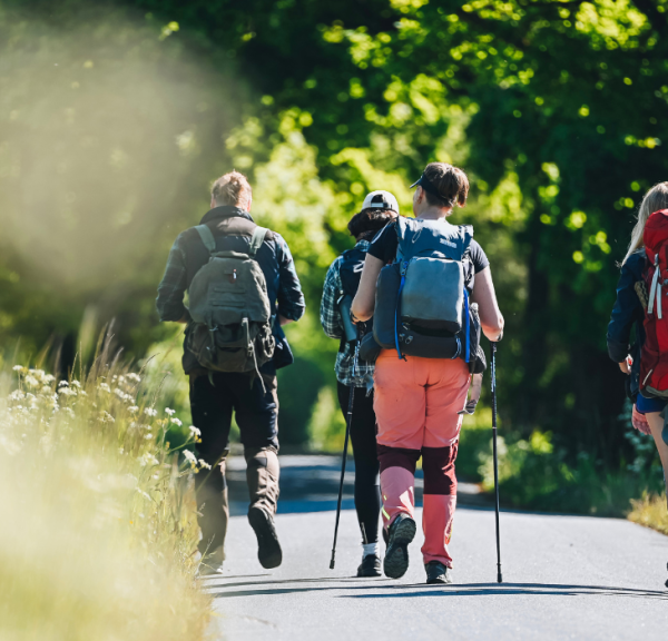 Fünf Wanderer auf Hærvejen an einem Sommertag