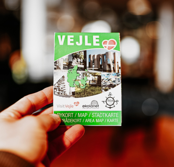 Vejle Stadtkarte