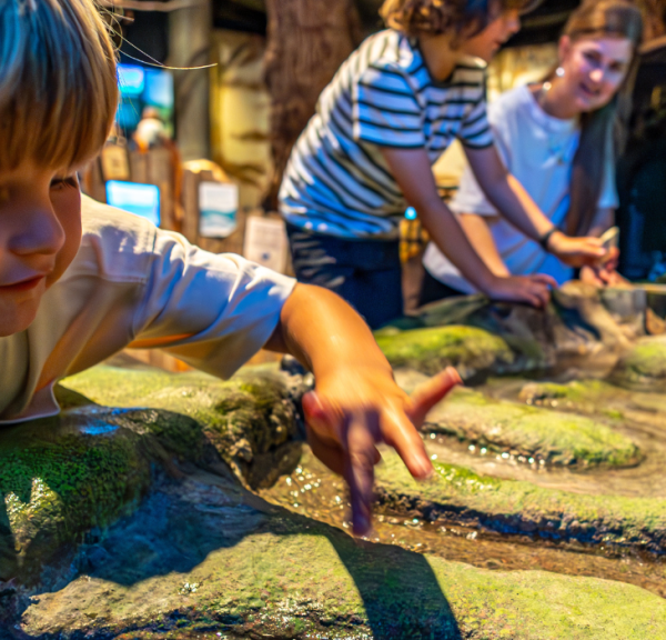 Kinder spielen und lernen über Wasser im Økolariet