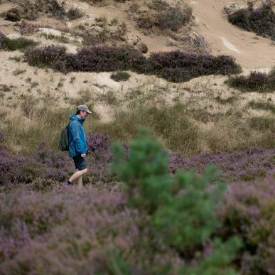 Randbøl Heide