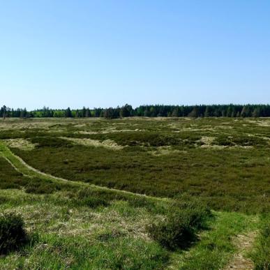 Wanderroute in der Randbøl Heide
