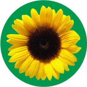 Das Logo des Sonnenblumenprogramms