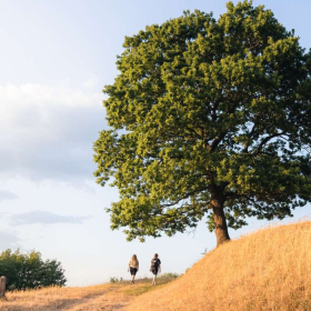 Zwei auf einer Wanderung in Runkenbjerg an einem Sommertag