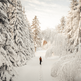 Eine Person bei einem Spaziergang in der verschneiten Landschaft in Kollemorten
