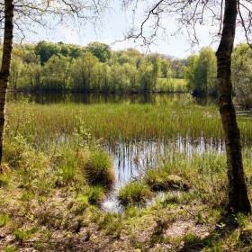 Natur an den Quellgebieten von Gudenå und Skjern Å