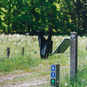 Frau auf Wandertour auf dem Hærvejen an einem Sommertag