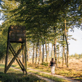 Eine Frau geht im Gebüsch bei Kollemorten auf Pilzwanderung
