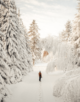 Eine Person bei einem Spaziergang in der verschneiten Landschaft in Kollemorten