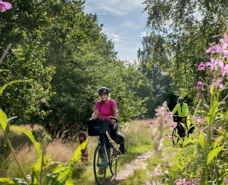 Cyklister på hærvejen ved Gudenåens udspring med blomster i forgrunden