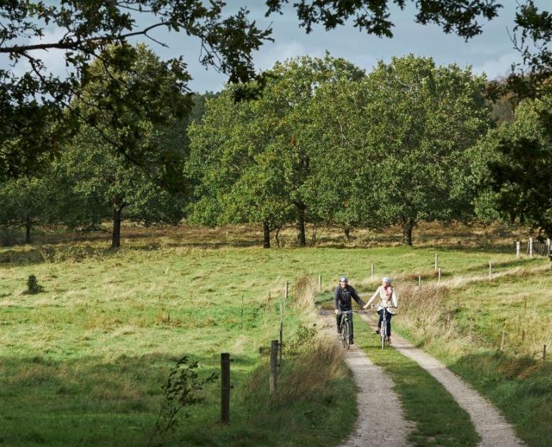 Ein Paar radelt Hand in Hand an der Quelle des Gudenåen