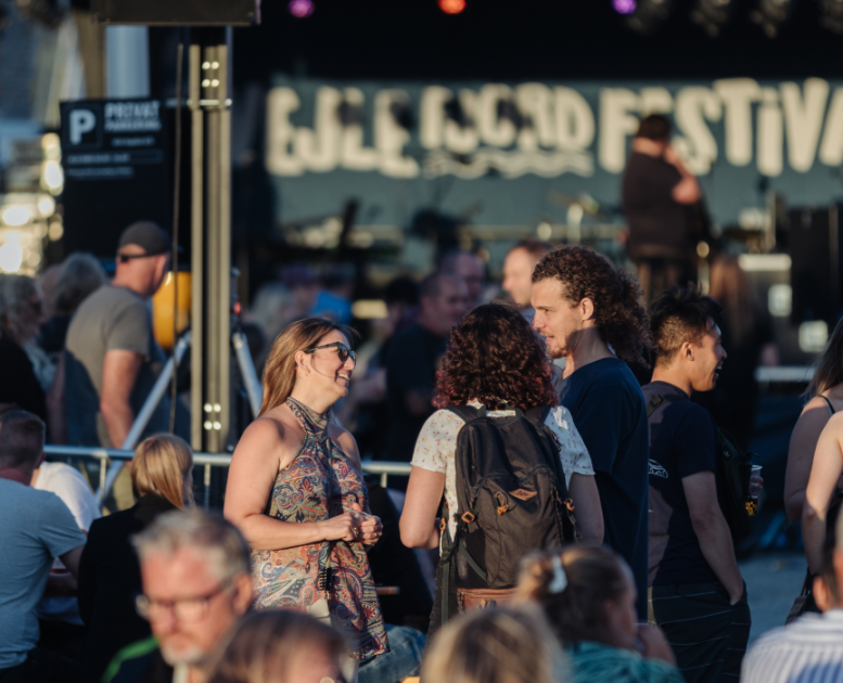 Menschen vor der Bühne beim Vejle Fjordfestival