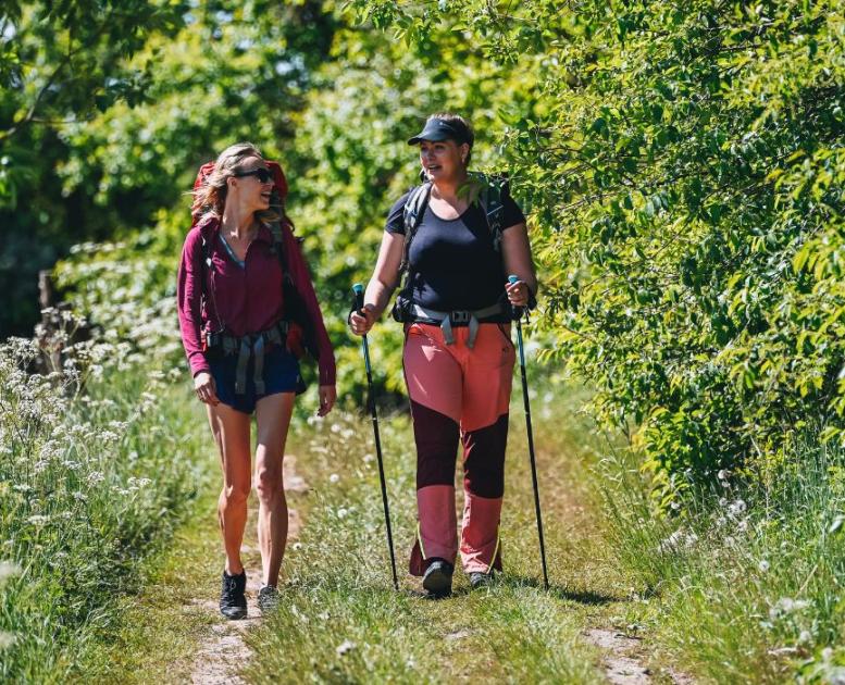 Zwei Menschen gehen an einem Sommertag den Hærvejen entlang