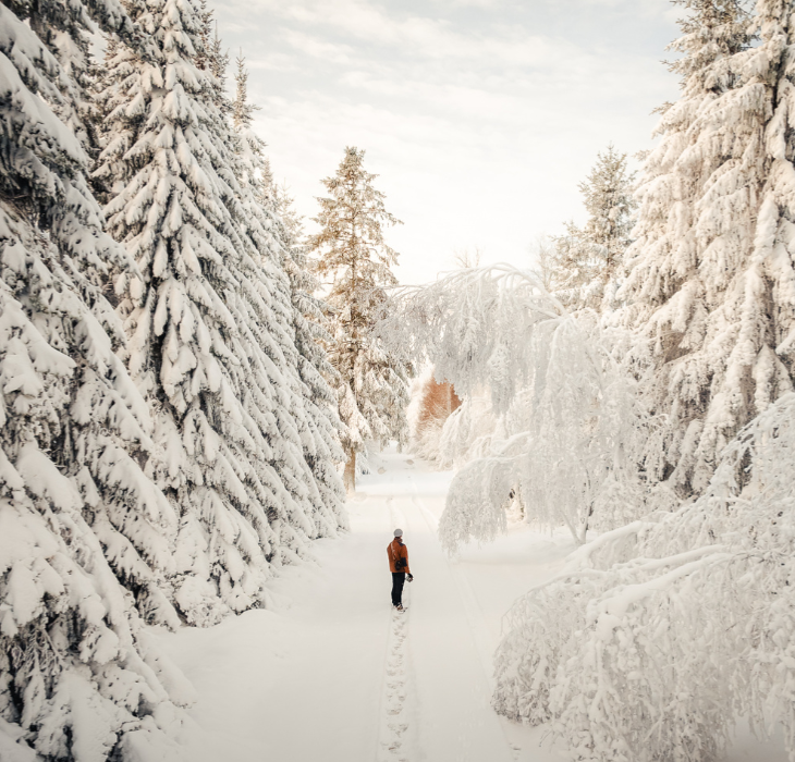 Eine Person bei einem Spaziergang in der verschneiten Landschaft in Kollemorten